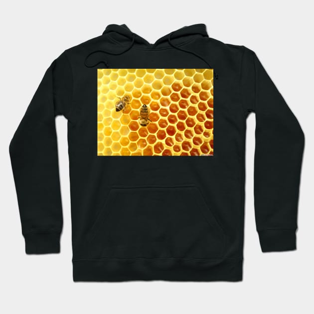 Honeycomb Hoodie by foxxya